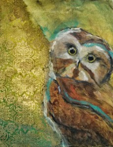 Forest Eyes | Saw-whet Owl | 11