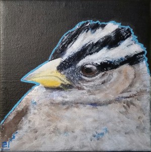 white-crowned-sparrow-6x6-acrylic-11-2016