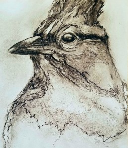 StellersJay17.75x20.75_FrameMat_400_LynJackson